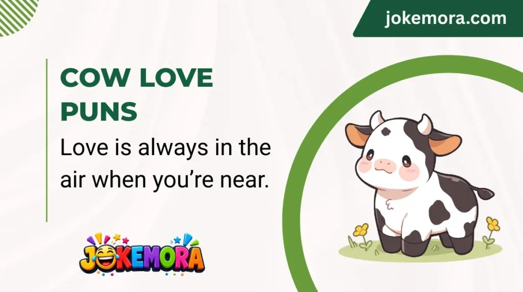 Cow Love Puns