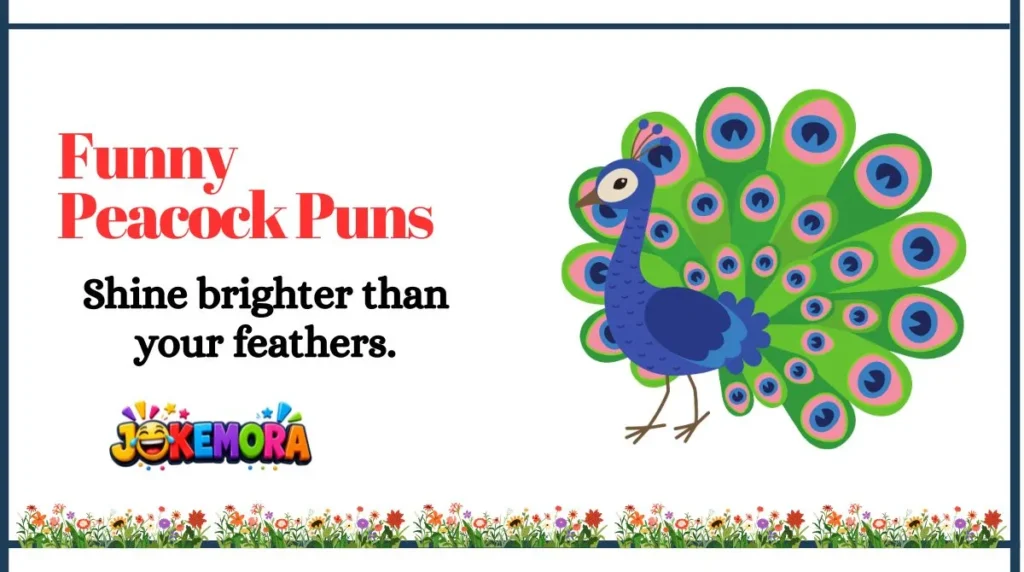 Funny Peacock Puns