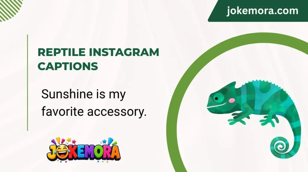 Reptile Instagram Captions