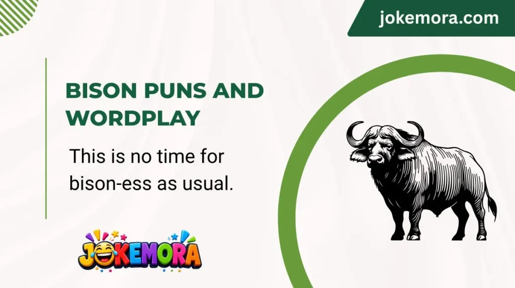 Bison Puns and Wordplay