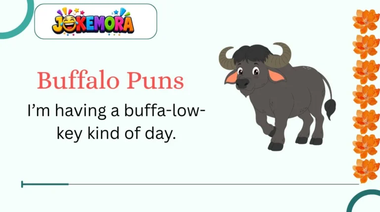 Buffalo Puns