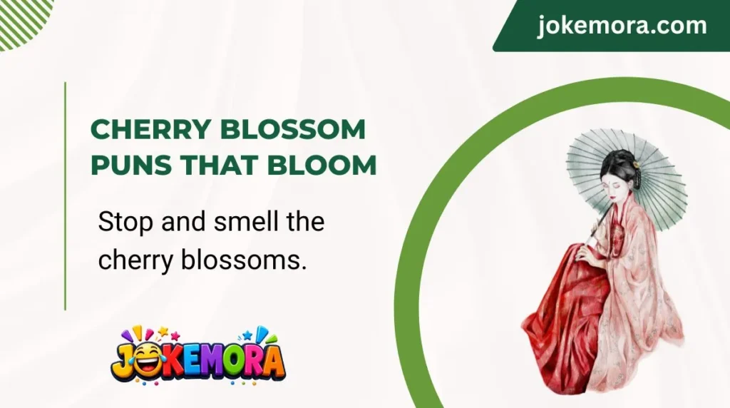 Cherry Blossom Puns That Bloom