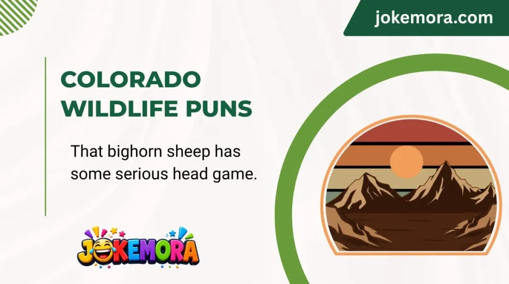 Colorado Wildlife Puns