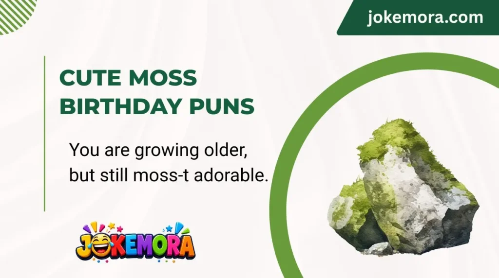 Cute Moss Birthday Puns