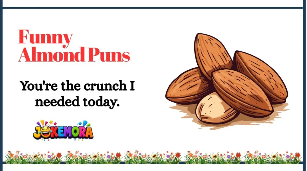 Funny Almond Puns
