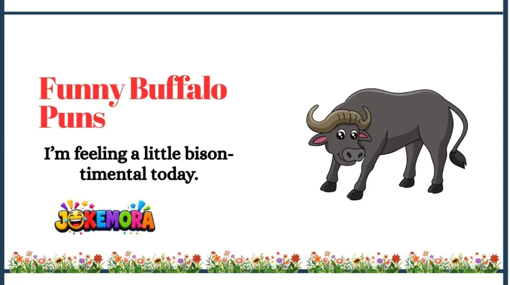 Funny Buffalo Puns