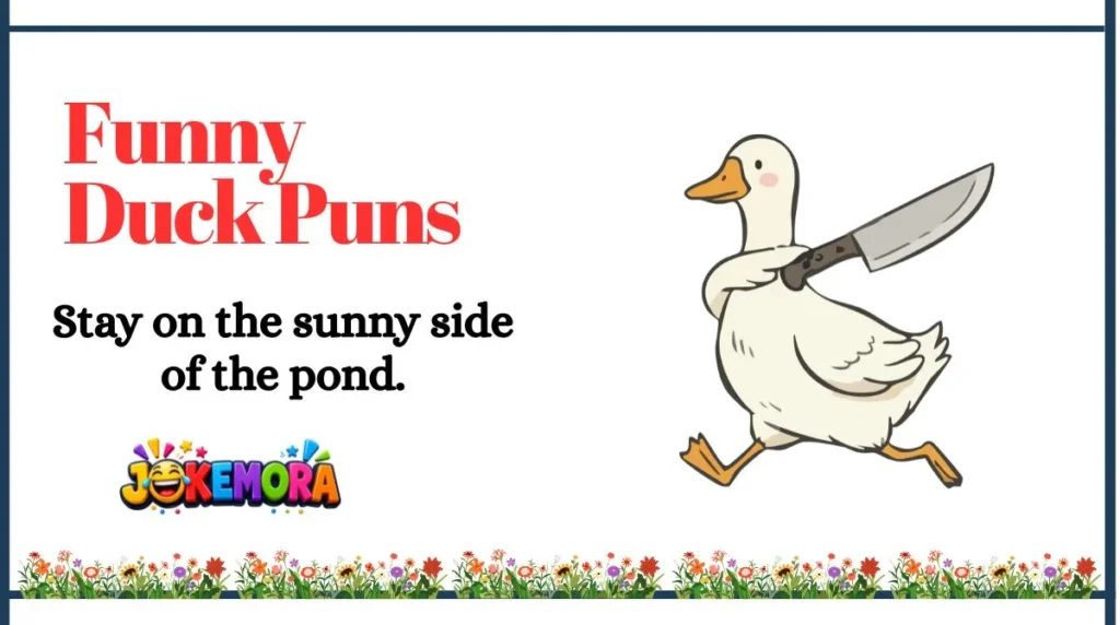 Funny Duck Puns