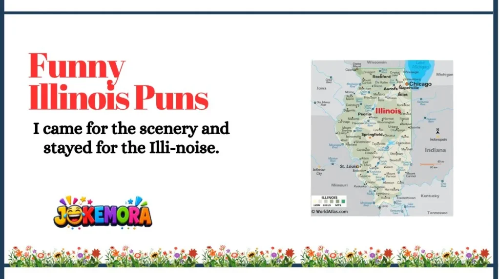 Funny Illinois Puns