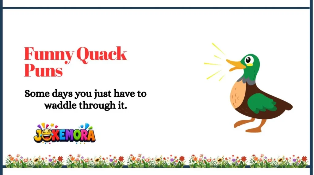 Funny Quack Puns