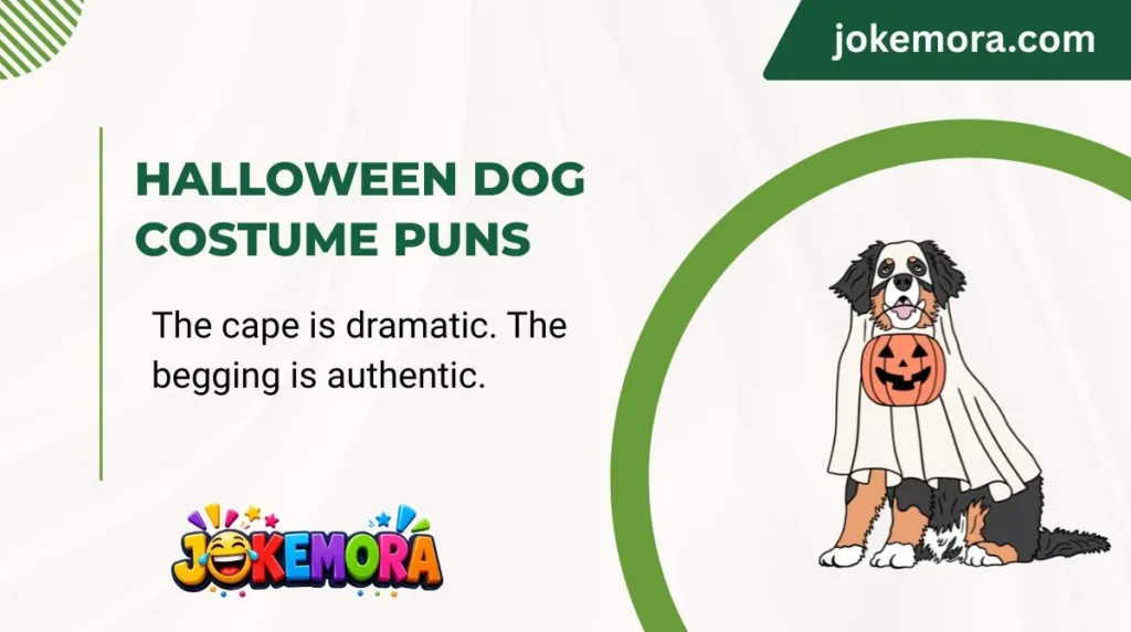 Halloween Dog Costume Puns