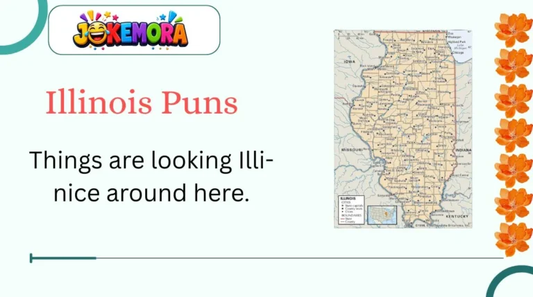 Illinois Puns