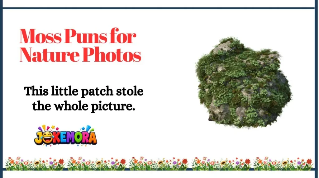 Moss Puns for Nature Photos
