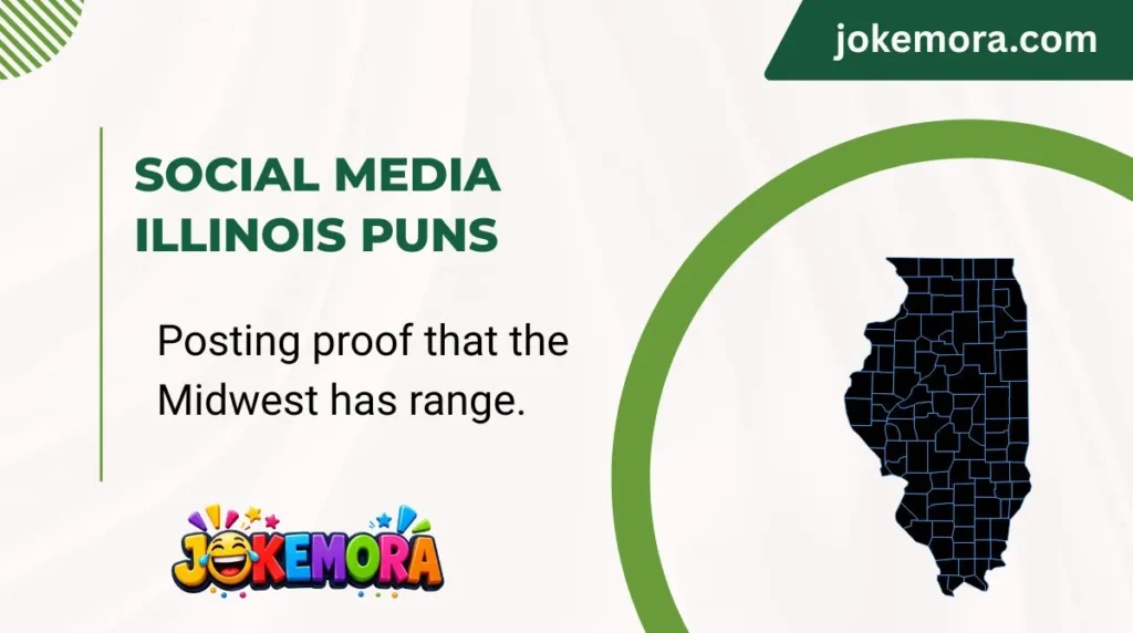 Social Media Illinois Puns