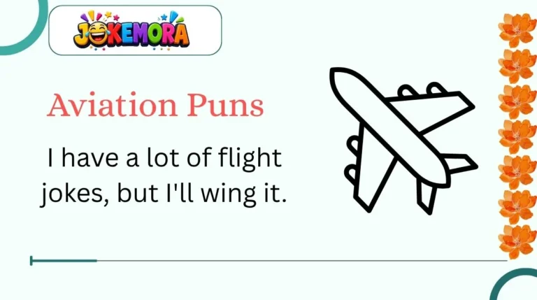 Aviation Puns