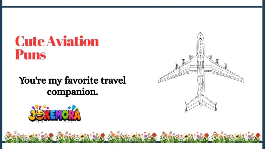 Cute Aviation Puns