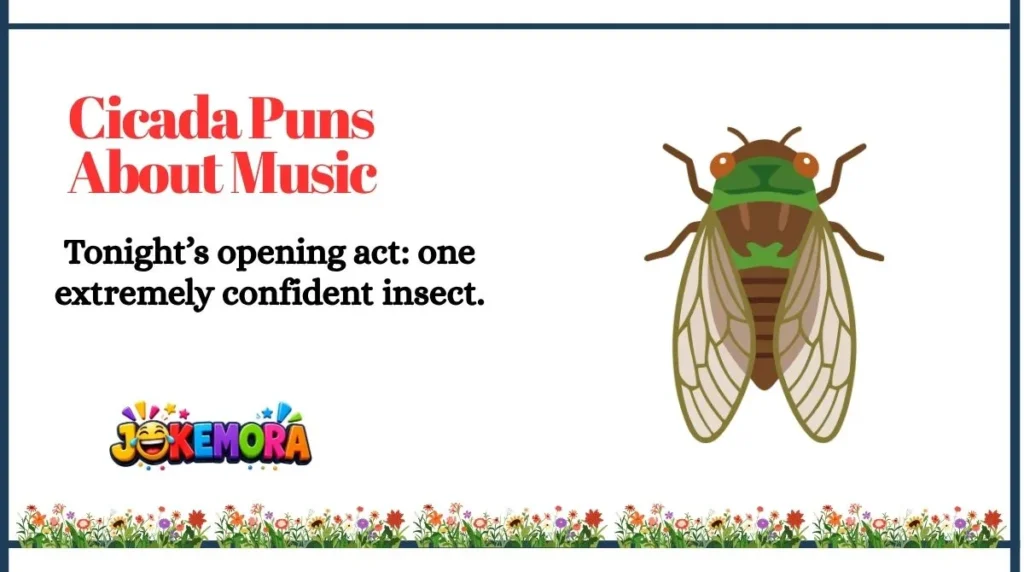 Cicada Puns About Music