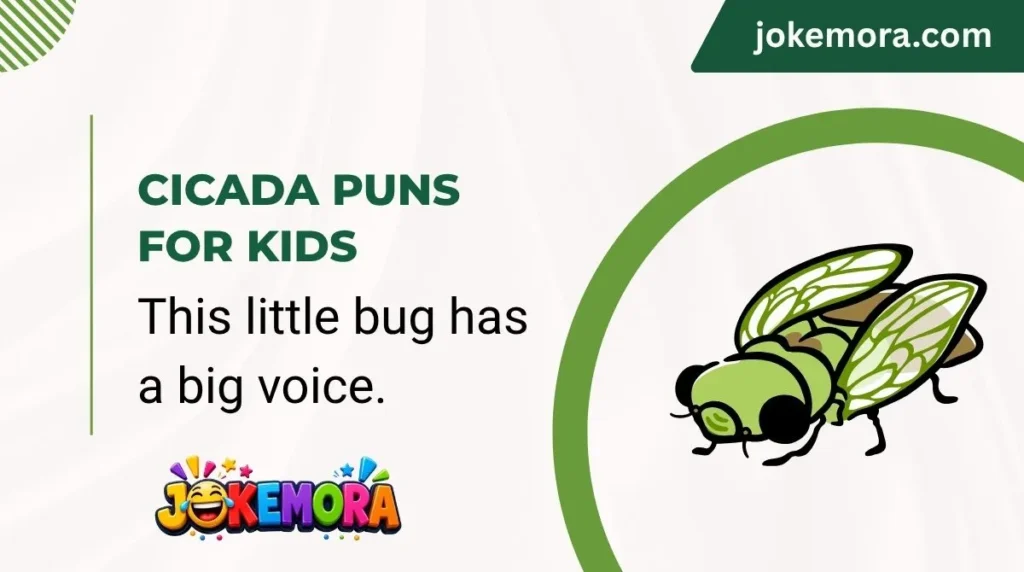 Cicada Puns for Kids