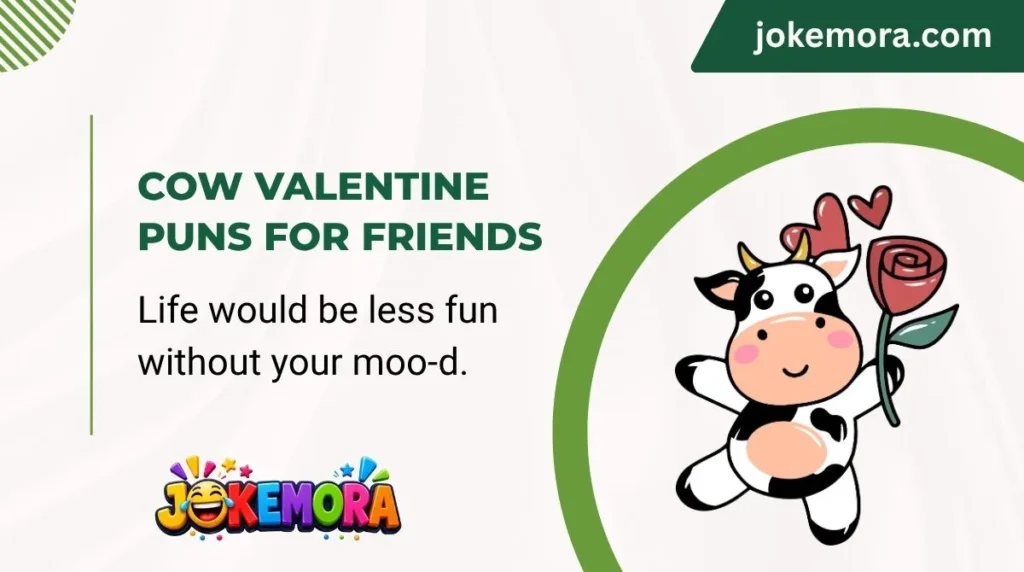 Cow Valentine Puns for Friends