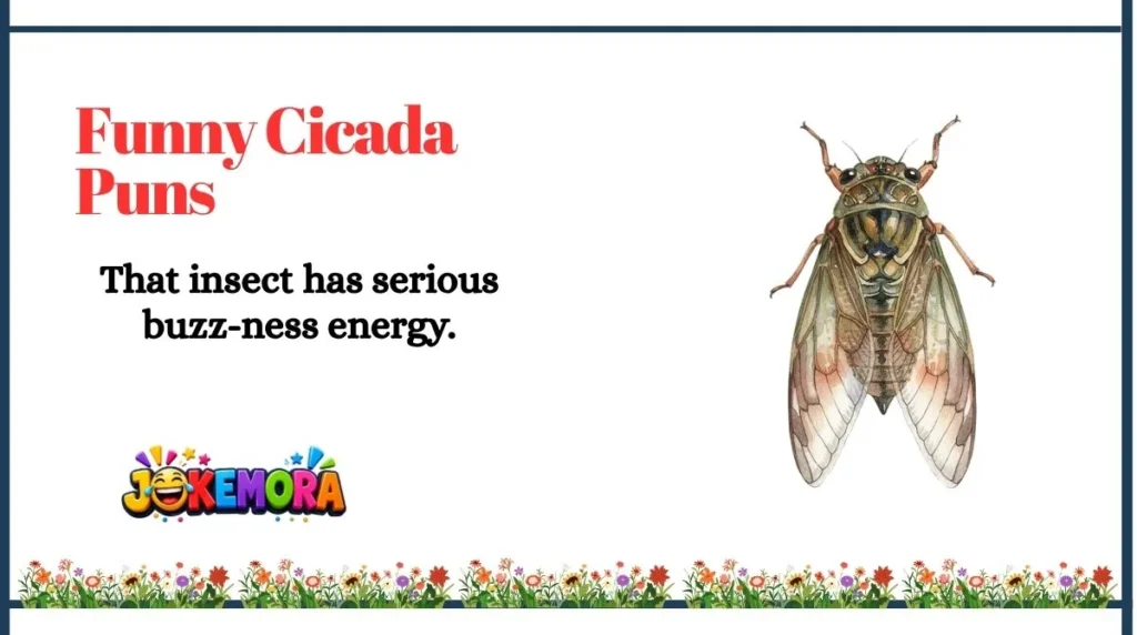 Funny Cicada Puns