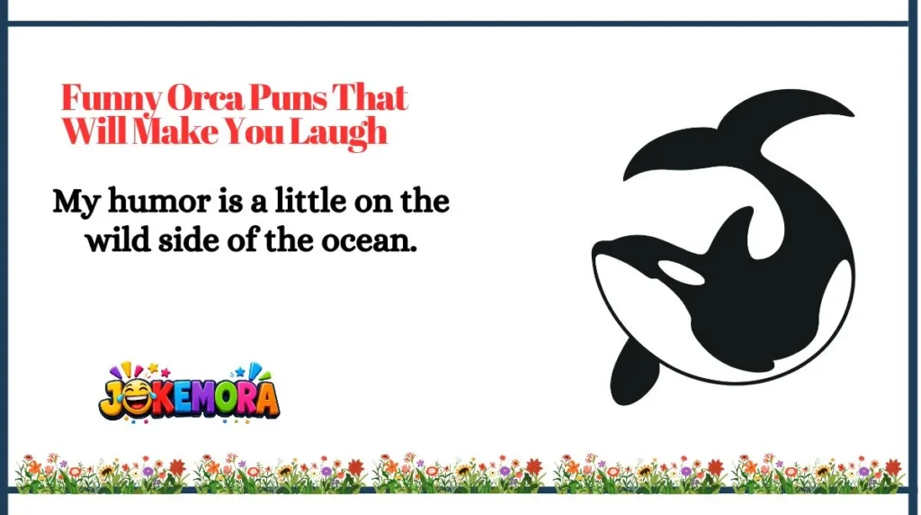 Funny Orca Puns That Will Make You Laugh