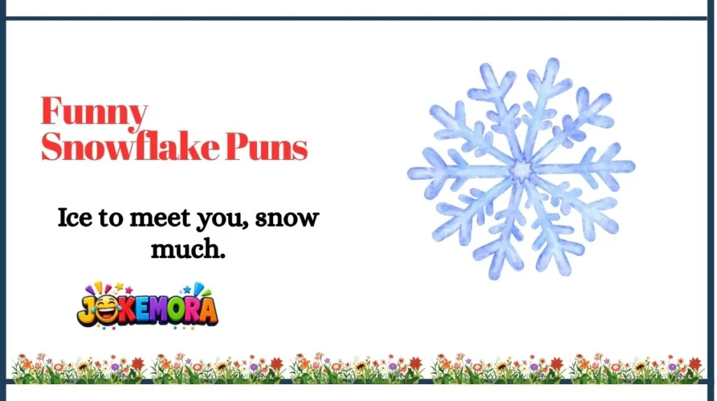 Funny Snowflake Puns