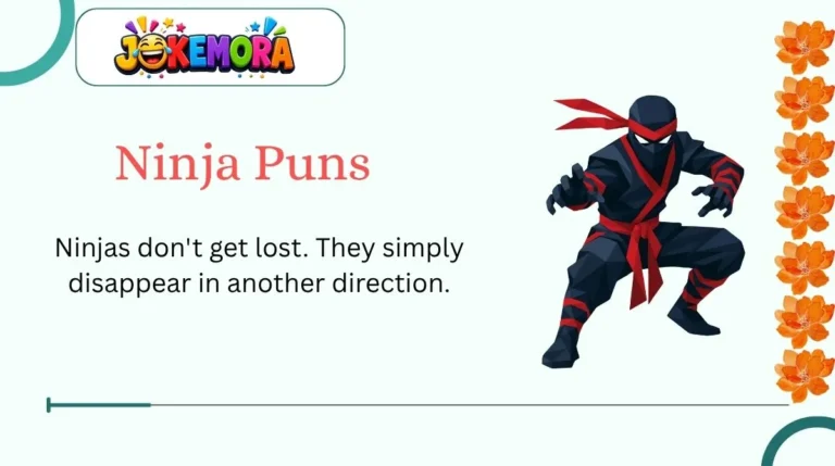 Ninja Puns