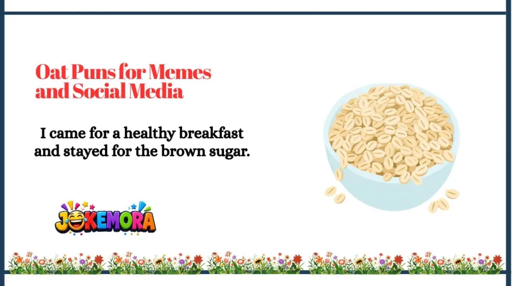 Oat Puns for Memes and Social Media
