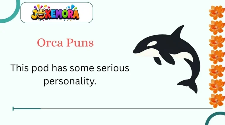 Orca Puns