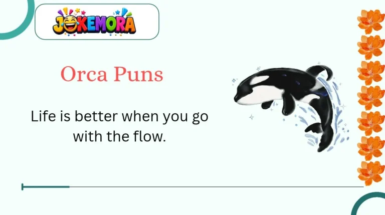Orca Puns