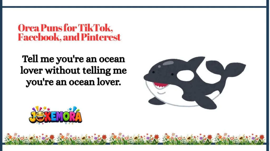 Orca Puns for TikTok, Facebook, and Pinterest