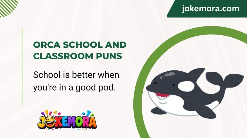 Orca School and Classroom Puns