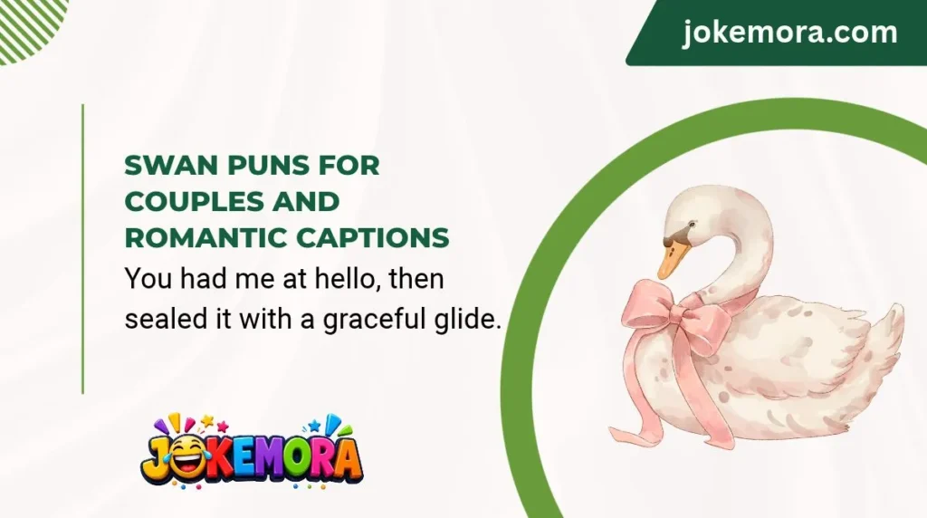 Swan Puns for Couples and Romantic Captions