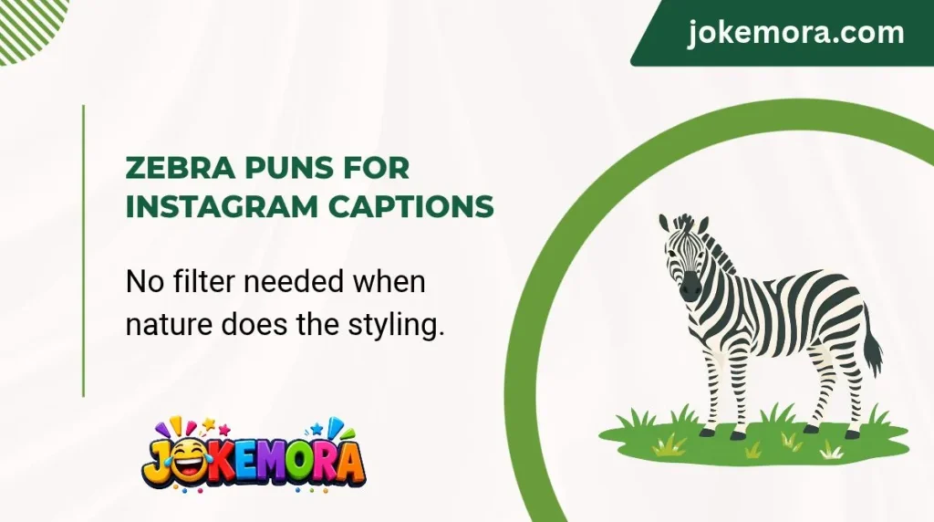 Zebra Puns for Instagram Captions